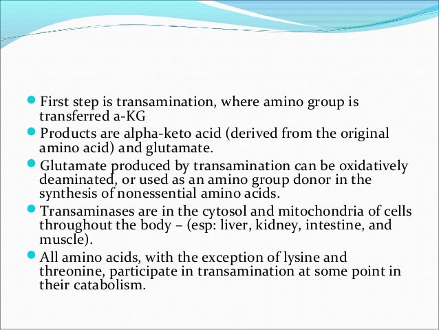 Biochemical indicators of blood in the diagnosis of diseases Biochemical indicators of blood in the diagnosis of diseases